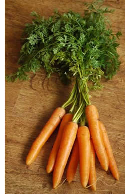 Carrots
