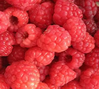 Raspberries